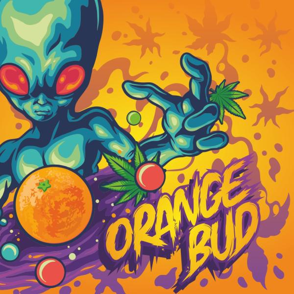 SIN TETRA | Orange Bud